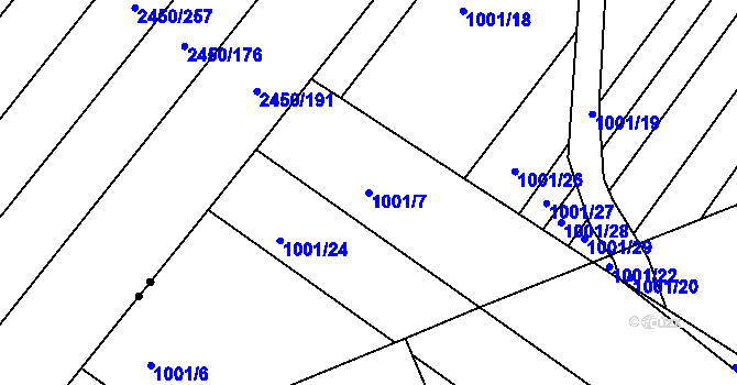 Parcela st. 1001/7 v KÚ Starý Lískovec, Katastrální mapa