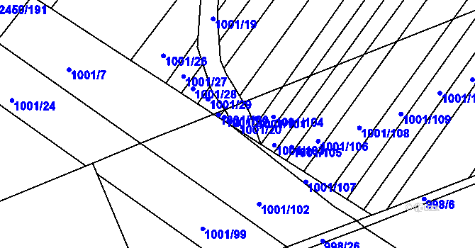 Parcela st. 1001/20 v KÚ Starý Lískovec, Katastrální mapa