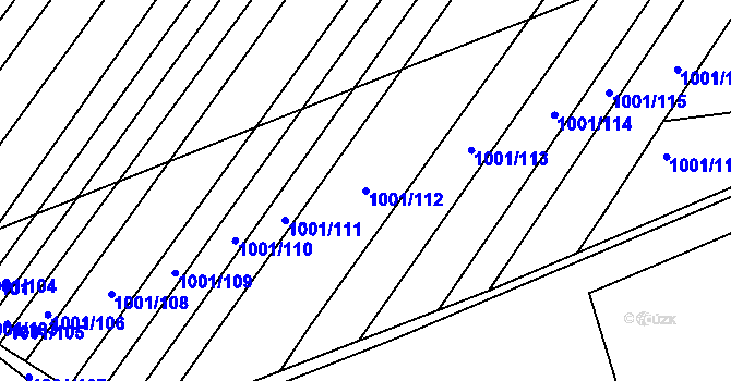Parcela st. 1001/112 v KÚ Starý Lískovec, Katastrální mapa