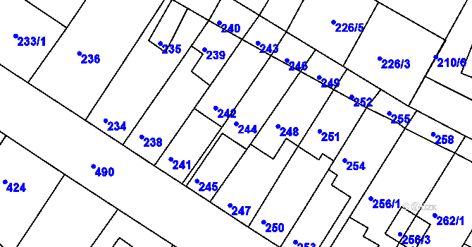Parcela st. 244 v KÚ Tuřany, Katastrální mapa