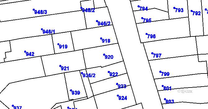 Parcela st. 920 v KÚ Tuřany, Katastrální mapa