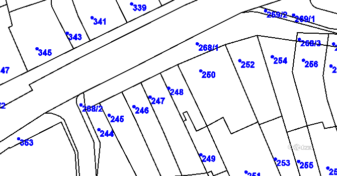 Parcela st. 248 v KÚ Holásky, Katastrální mapa