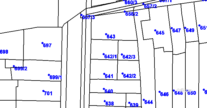 Parcela st. 642/1 v KÚ Holásky, Katastrální mapa
