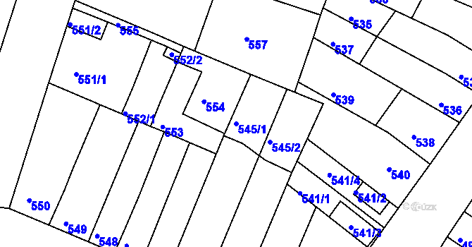 Parcela st. 545/1 v KÚ Líšeň, Katastrální mapa