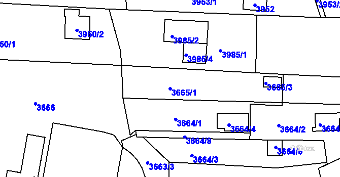Parcela st. 3665/1 v KÚ Líšeň, Katastrální mapa