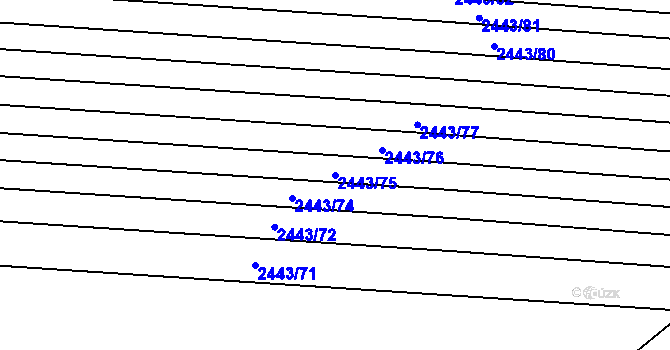 Parcela st. 2443/75 v KÚ Maloměřice, Katastrální mapa