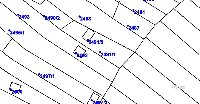 Parcela st. 2491/1 v KÚ Obřany, Katastrální mapa