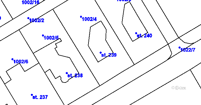 Parcela st. 239 v KÚ Velká Ves u Broumova, Katastrální mapa