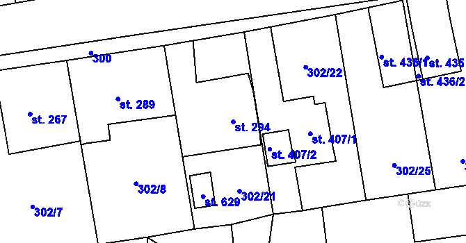 Parcela st. 294 v KÚ Velká Ves u Broumova, Katastrální mapa
