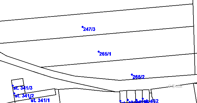 Parcela st. 265/1 v KÚ Velká Ves u Broumova, Katastrální mapa
