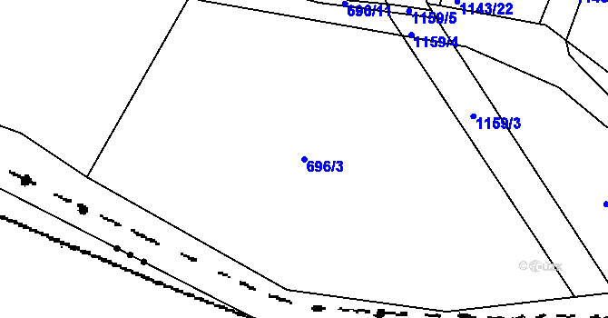 Parcela st. 696/3 v KÚ Velká Ves u Broumova, Katastrální mapa