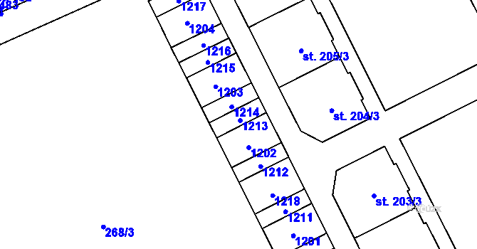 Parcela st. 204/5 v KÚ Velká Ves u Broumova, Katastrální mapa