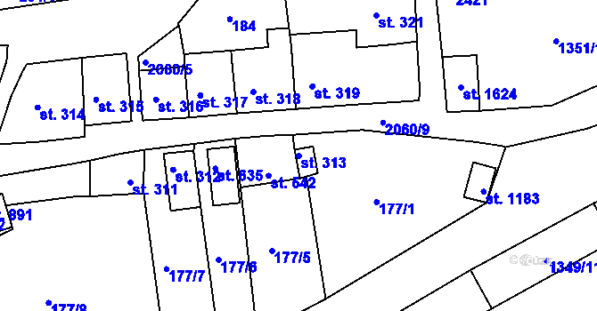 Parcela st. 313 v KÚ Brtnice, Katastrální mapa