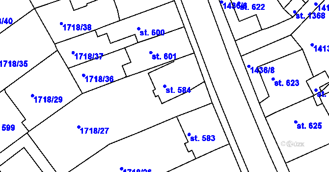 Parcela st. 584 v KÚ Brtnice, Katastrální mapa