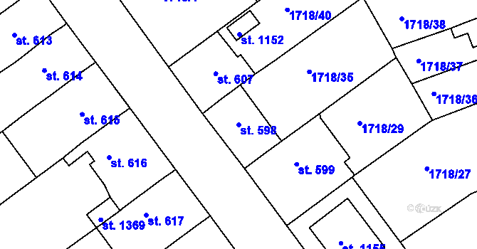 Parcela st. 598 v KÚ Brtnice, Katastrální mapa