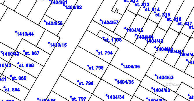 Parcela st. 794 v KÚ Brtnice, Katastrální mapa