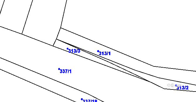 Parcela st. 313/1 v KÚ Brtnice, Katastrální mapa
