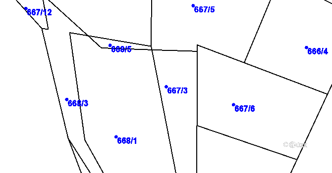Parcela st. 667/3 v KÚ Brtnice, Katastrální mapa