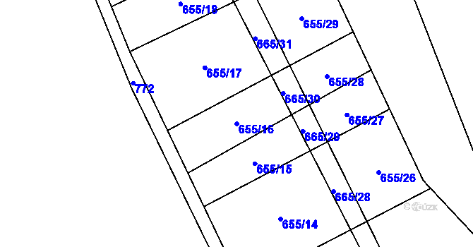Parcela st. 655/16 v KÚ Brtnička, Katastrální mapa