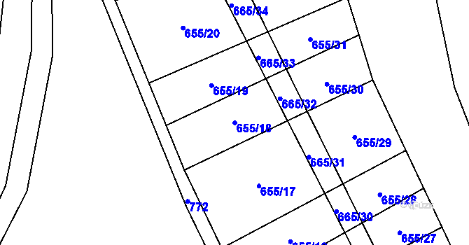 Parcela st. 655/18 v KÚ Brtnička, Katastrální mapa