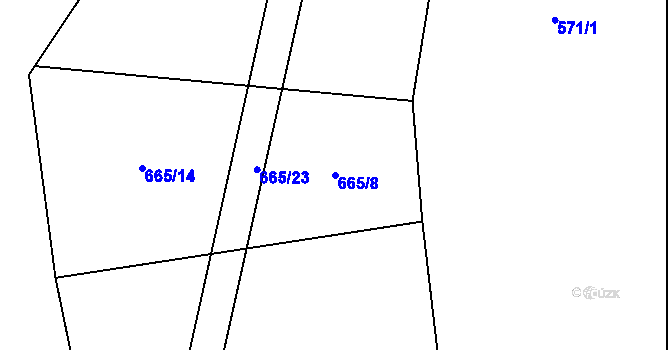 Parcela st. 665/8 v KÚ Brtnička, Katastrální mapa
