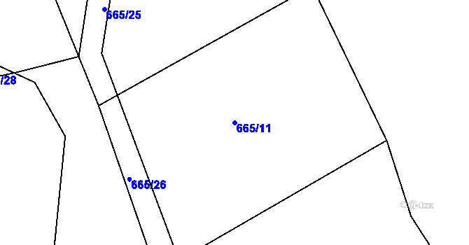 Parcela st. 665/11 v KÚ Brtnička, Katastrální mapa