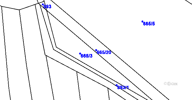 Parcela st. 665/20 v KÚ Brtnička, Katastrální mapa