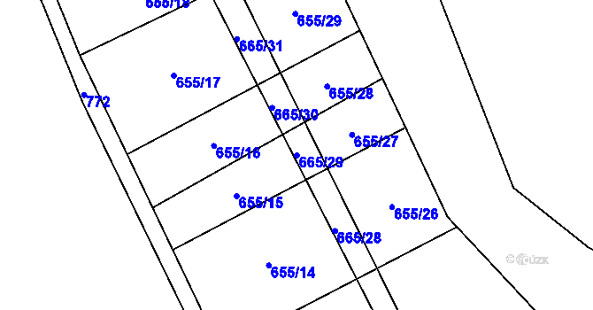 Parcela st. 665/29 v KÚ Brtnička, Katastrální mapa