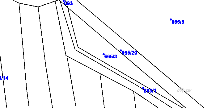 Parcela st. 665/3 v KÚ Brtnička, Katastrální mapa