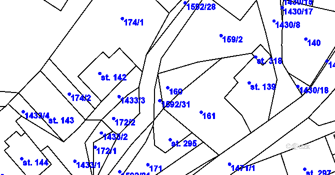 Parcela st. 160 v KÚ Brtníky, Katastrální mapa