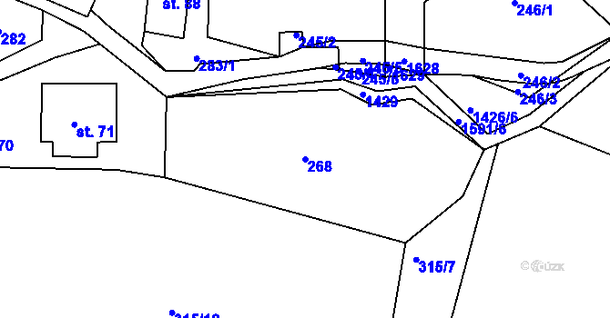 Parcela st. 268 v KÚ Brtníky, Katastrální mapa