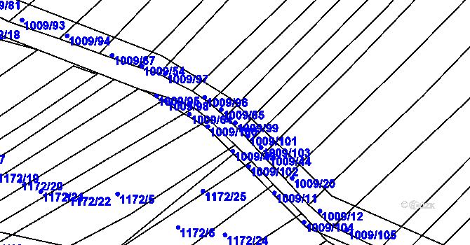 Parcela st. 1009/99 v KÚ Bylnice, Katastrální mapa