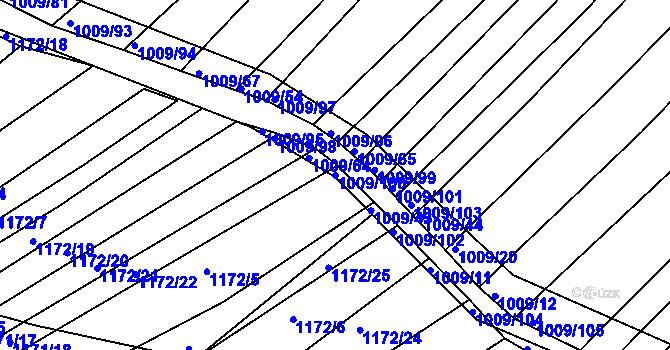 Parcela st. 1009/100 v KÚ Bylnice, Katastrální mapa