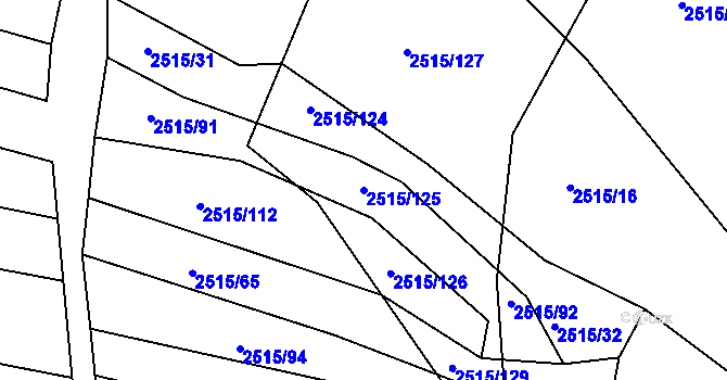 Parcela st. 2515/125 v KÚ Bylnice, Katastrální mapa