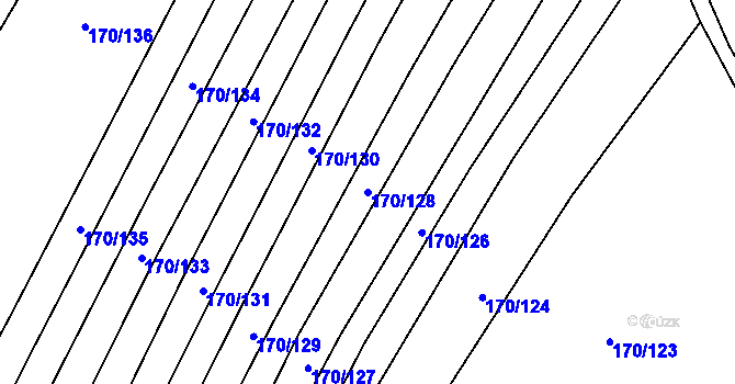 Parcela st. 170/128 v KÚ Brumovice, Katastrální mapa