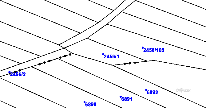 Parcela st. 2456/1 v KÚ Brumovice, Katastrální mapa