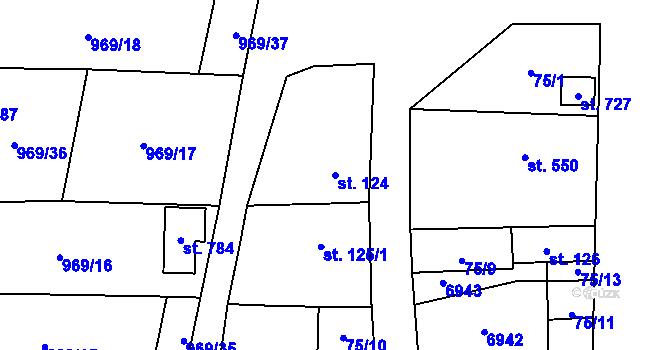 Parcela st. 124 v KÚ Brumovice, Katastrální mapa
