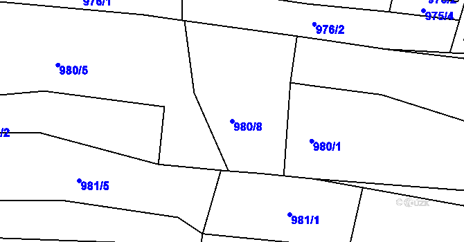 Parcela st. 980/8 v KÚ Brumovice, Katastrální mapa