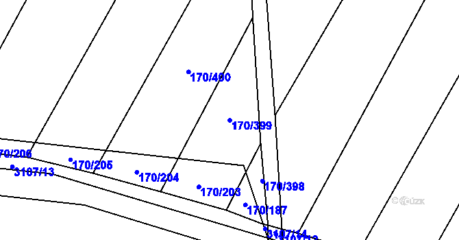 Parcela st. 170/399 v KÚ Brumovice, Katastrální mapa