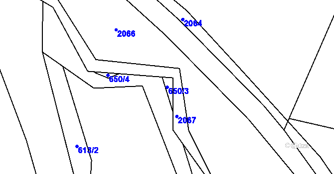 Parcela st. 650/3 v KÚ Řepka, Katastrální mapa