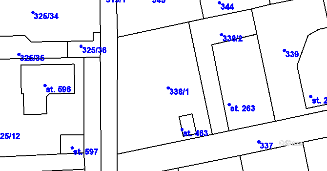 Parcela st. 338 v KÚ Břasy, Katastrální mapa