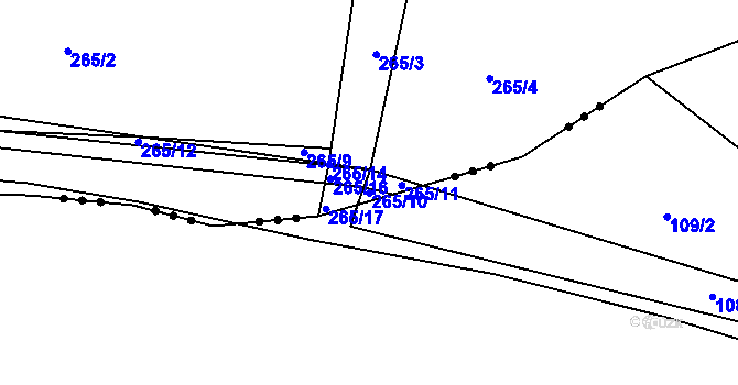 Parcela st. 265/10 v KÚ Břehy, Katastrální mapa