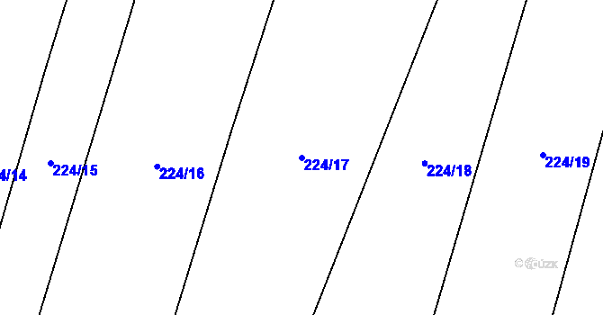 Parcela st. 224/17 v KÚ Březejc, Katastrální mapa