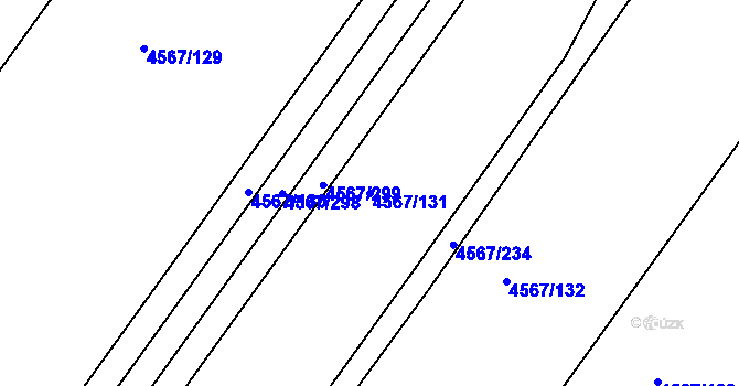 Parcela st. 4567/131 v KÚ Březí u Mikulova, Katastrální mapa