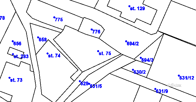 Parcela st. 75 v KÚ Olšina, Katastrální mapa