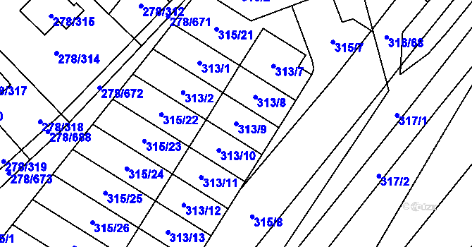 Parcela st. 313/9 v KÚ Proseč u Březiny, Katastrální mapa
