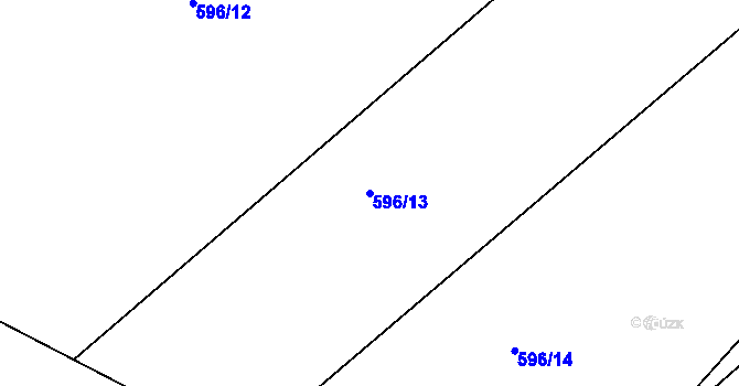 Parcela st. 596/13 v KÚ Březiny u Poličky, Katastrální mapa