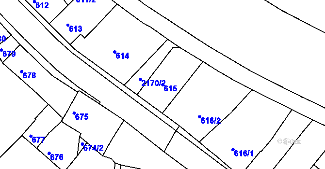 Parcela st. 615 v KÚ Březnice, Katastrální mapa