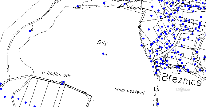 Parcela st. 202 v KÚ Březnice u Bechyně, Katastrální mapa