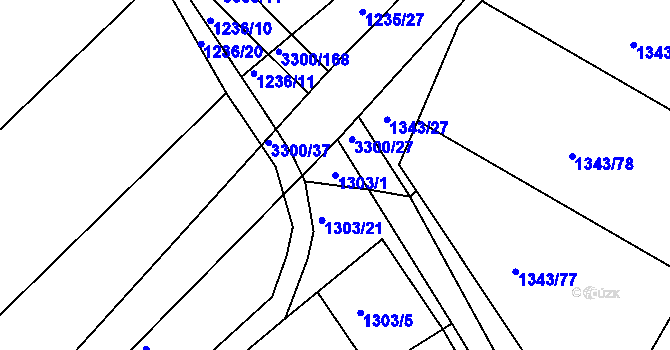 Parcela st. 1303/1 v KÚ Březník, Katastrální mapa